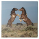 Search for fight tiles Horse