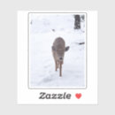 Search for animal friends stickers Deer
