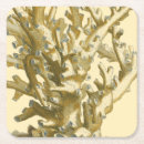 Search for algae home living Sea
