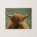 Search for highland cow puzzles Scottish