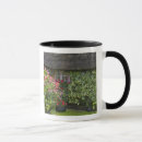 Search for thatch mugs House