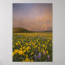Search for spectacular posters No people