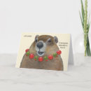 Search for board cards Charcuterie