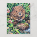 Search for post your beaver Illustration
