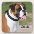 Search for boxer puppy coasters Pet