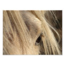 Search for palomino art Equine