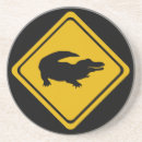 Search for crocodile coasters Funny