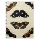 Search for insect notebooks Butterfly