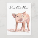 Search for cute pig postcards Piglet