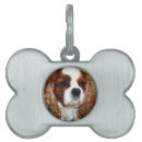 Search for charle spaniel For pets