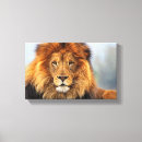 Search for african lion canvas prints King of beasts