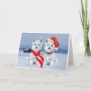 Search for westie christmas cards Dogs