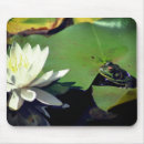 Search for admiration electronics Flower