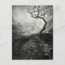 Search for dawn sky postcards Clouds