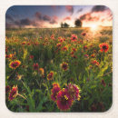 Search for blanket barware Flower