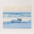Search for polar bear puzzles Arctic