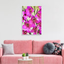 Search for gladioli posters Pink