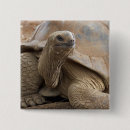 Search for captivating badges Animal