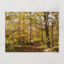 Search for river rocks postcards Fall