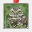 Search for athens christmas tree decorations Bird
