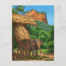 Search for sri lanka postcards Animals