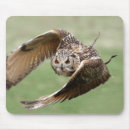 Search for eagle mousepads Beak