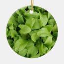 Search for marigold christmas tree decorations Photography