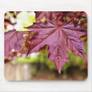Search for red maple leaf mousepads Nature