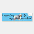 Search for beard bumper stickers Bearded collie