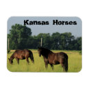 Search for pasture magnets Sky