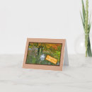 Search for bir cards Photography