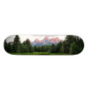 Search for reflection skateboards Nature