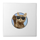 Search for cool tiles Ceramic