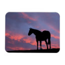 Search for thoroughbred magnets Equine