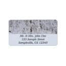 Search for birch tree return address labels Winter