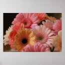 Search for yellow flower posters Pastel