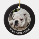 Search for english bulldog gifts Photography