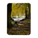 Search for y magnets Wales