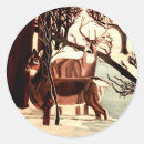 Search for buck wild stickers Winter