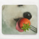 Search for bichon frise mousepads Animal
