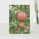 Search for apple orchard cards Fall