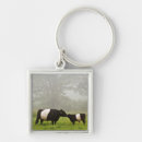 Search for misty key rings Usa