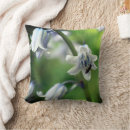 Search for bluebell cushions Flower