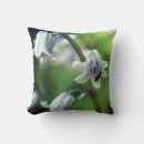 Search for bluebell cushions Flower