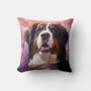 Search for bernese mountain dog cushions Cute