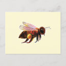 Search for bee illustration postcards Insect