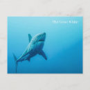 Search for killers postcards Kids
