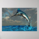 Search for marlin fish posters Ocean