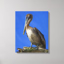 Search for on a limb canvas prints Nature