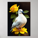 Search for white dove posters Nature